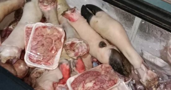 ضبط طن وربع لحوم فاسدة قبل طرحها بالأسواق في سوهاج.. صور