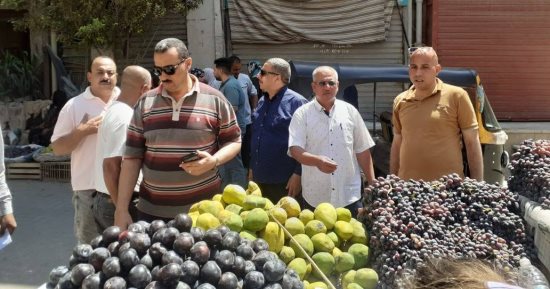 75 محضرا متنوعا بحملة على الأسواق ومحال الأغذية بطهطا سوهاج