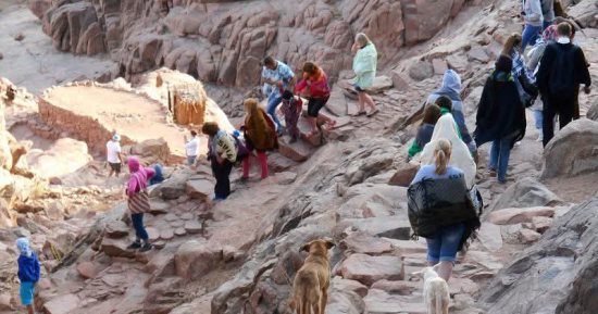 435 سائحا وزائرا من جنسيات مختلفة لزيارة دير سانت كاترين