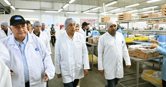 وزير الزراعة: إنتاج مصر من اللحوم الحمراء يصل إلى 600 ألف طن