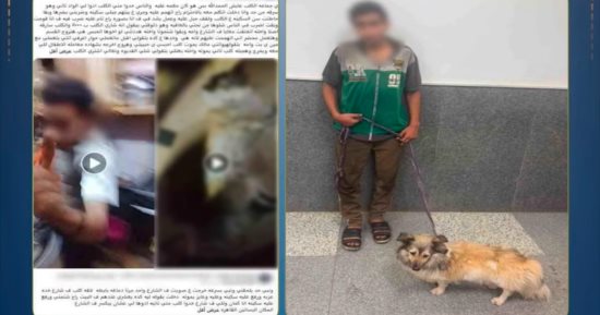 الداخلية تضبط المتهم بتوثيق كلب وضربه فى القاهرة.. فيديو