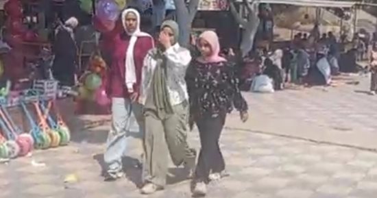 إقبال كبير على حديقة الأسرة والطفولة والرحلات النيلية بدسوق.. فيديو