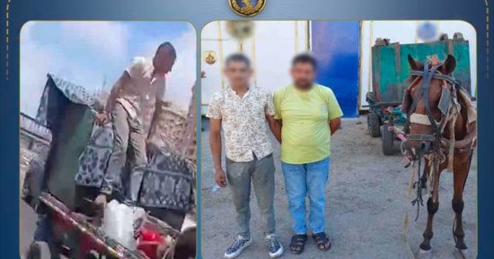 ضبط لصين لسرقتهما صندوق قمامة في الإسكندرية   