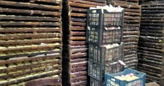 ضبط 12 ألف عبوة حلوى أطفال غير مصرح بها داخل منشأة غير مرخصة بالقليوبية