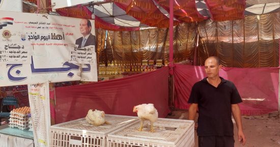 لحوم سلع بأسعار مخفضة.. إقبال على سوق اليوم الواحد للسلع الغذائية في زفتى
