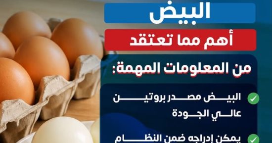 «البيض أهم مما تعتقد».. وزارة الصحة: التوازن في تناوله مفتاح التغذية السليمة 