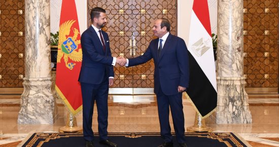 الرئيس السيسى يجدد رفض مصر للاعتداءات غير المبررة على الدول العربية الشقيقة