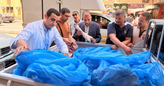 محافظ سوهاج: ضبط لحوم غير صالحة للاستهلاك الآدمي بأحد المطاعم