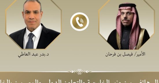 وزير الخارجية يبحث مع نظيره السعودى جهود خفض التصعيد فى المنطقة