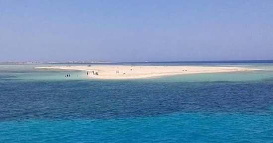توبيا البيضاء فى سفاجا.. جزيرة ساحرة تتلألأ بمياه فيروزية ورمال ناصعة وسط البحر الأحمر.. بجانبها شعاب مرجانية وكائنات بحرية نادرة.. ووجهة مفضلة لعشاق الغوص والسنوركلنج والاستجمام وملاذ هادئ لزوار سوما باى.. صور