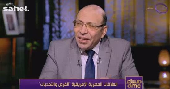 خبير: مصر استعادت دورها الريادى فى أفريقيا بزيارات استراتيجية وتوسع جغرافى غير مسبوق