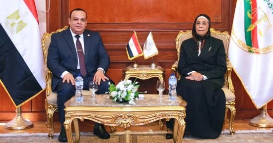 رئيسة هيئة النيابة الإدارية تستقبل رئيس الهيئة الوطنية للانتخابات 