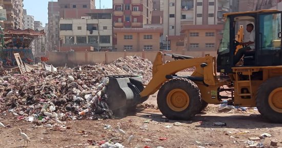 محافظ الغربية: رفع 995 طنًا من التراكمات والمخلفات في يوم واحد