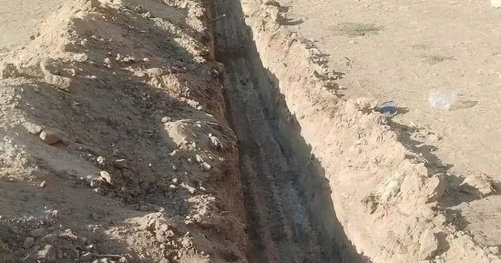 محافظة الإسماعيلية تنفي شائعات بيع منطقة الغابة