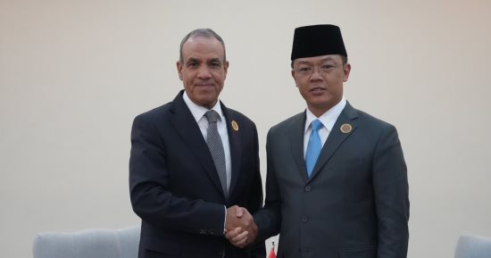 وزير الخارجية يلتقى نظيره الإندونيسى