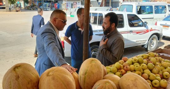 الكنتالوب بـ25 جنيها.. أسعار الخضار والفاكهة بالوادى الجديد اليوم السبت