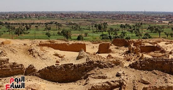 من دعم الفلاح إلى تأمين غذاء المصريين.. ملفات ساخنة تنتظر الحسم على مائدة "زراعة النواب".. الكارت الذكى والقمح والزراعات التعاقدية أبرز الملفات.. واللجنة تبحث ملف الأسمدة ورفع إنتاجية المحاصيل الاستراتيجية