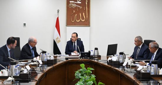 رئيس الوزراء يتابع مستجدات جهود إعادة هيكلة الشركات المملوكة للدولة