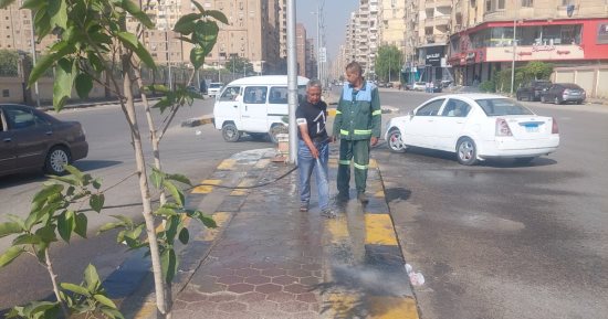 رفع مستوى النظافة بشارع ترسا وزراعة الجزيرة الوسطى بـ"العامل الأول" بالجيزة