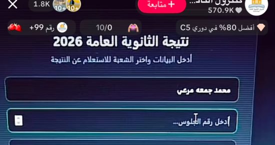 "نتيجتك عندي قبل الوزارة".. كيف تحولت أحلام طلاب الثانوية العامة إلى سبوبة على "تيك توك"