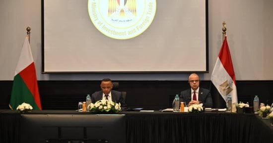وزير الاستثمار ورئيس مدغشقر يبحثان تعزيز الشراكة الاقتصادية والاستثمارية