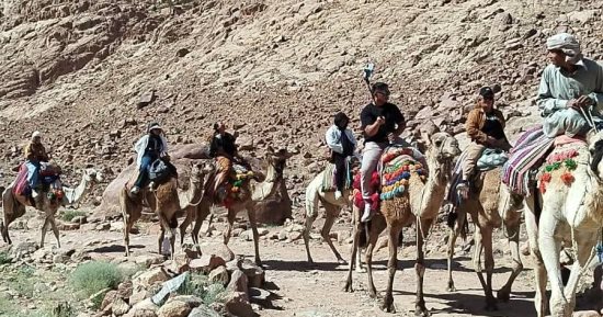مدينة سانت كاترين تستقبل 315 سائحا من مختلف دول العالم