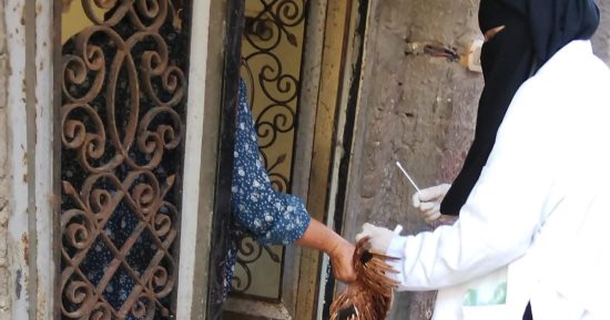تحصين 153 ألفًا و150 طائرًا بكفر الشيخ لحمايتها من الأمراض الوبائية