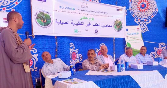 الأعلاف غير التقليدية.. رهان جديد لتعزيز الثروة الحيوانية وترشيد استهلاك المياه فى أسيوط