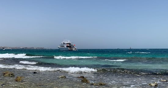 جماليات البحر الأحمر.. وجهات الغوص العالمية فى مصر