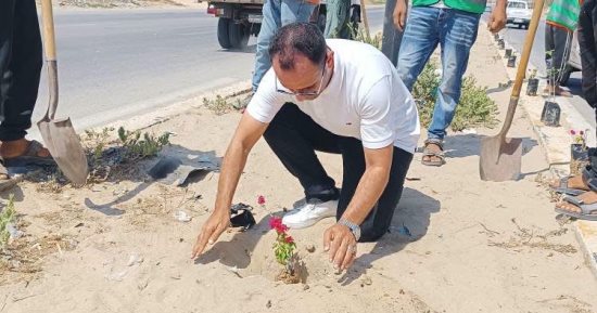 مبادرة لتشجير وتجميل الشيخ زويد ضمن المبادرة الرئاسية 100 مليون شجرة.. صور