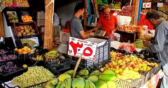 كيلو المانجا بـ35 جنيها.. أسعار الخضار والفاكهة بالوادي الجديد اليوم الأحد