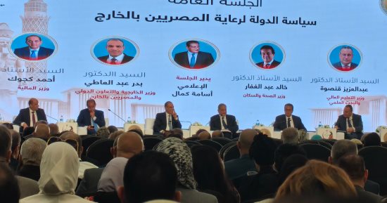 وزير المالية بمؤتمر المصريين بالخارج: بصدد إطلاق تطبيق إليكتروني حول التصرفات العقارية