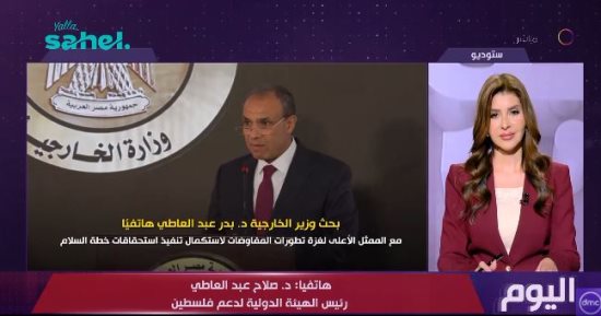 صلاح عبد العاطي: مصر تسعى لتحصين اتفاق غزة وضمان استمراريته