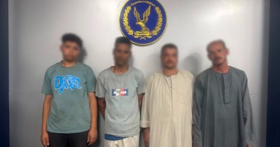الداخلية تضبط المتهمين بذبح 9 حمير في طهطا بسوهاج