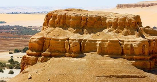 صور تحكى عن تاريخ مصر قبل 40 مليون عاما.. اليوم السابع داخل محمية وادى الحيتان أول منطقة تراث طبيعى عالمى بمصر.. تبلغ مساحتها 1759 كيلومترا مربعا.. وتحتوى على هياكل كاملة لحيتان وحفريات نادرة
