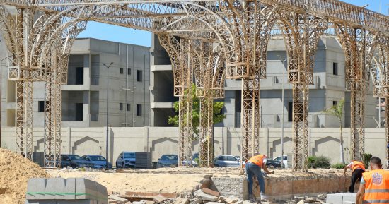 زراعة أشجار البونسيانا.. تطوير حديقة الأمل بحى المناخ وزيادة المساحات الخضراء.. صور