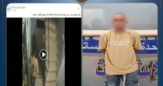 ضبط عامل دليفرى تحرش بفتاة على سلم فى القاهرة.. فيديو