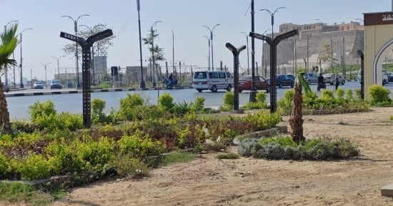 حدائق السيدة عائشة متنفس جديد ورئة المنطقة التاريخية.. تحفة زراعية وجداريات تفاعلية تزين محور صلاح سالم ومدخل الأباجية.. ومحافظ القاهرة: استكمال أعمال زراعة الأشجار والتلوين للوصول لأعلى مستوى جمالى.. صور