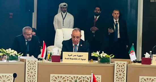 وزير الخارجية يؤكد رفض مصر لتهجير الفلسطينيين أو المساس بالوضع فى القدس