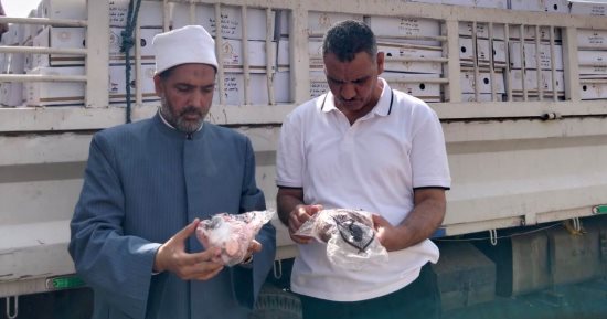 تسليم 3 أطنان لحوم من مديرية الأوقاف إلى التضامن الاجتماعى بأسوان