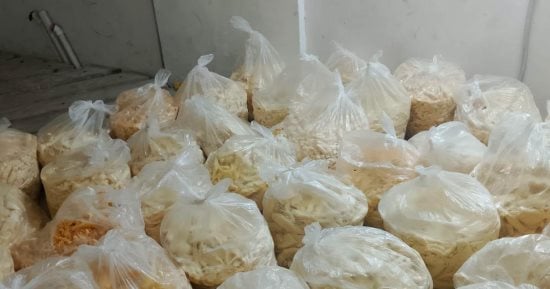 ضبط أكثر من 1.5 طن أغذية فاسدة ومجهولة المصدر خلال حملة رقابية بمركز فوه