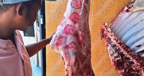 تحصين أكثر من 23 ألف رأس ماشية و34 ألف طائر بأسوان