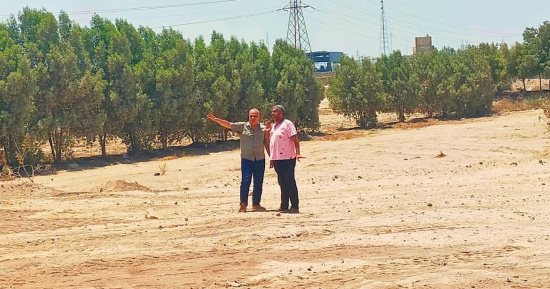 رئيس نظافة القاهرة يتفقد أعمال تطوير محور التبين وحلوان ومحيط مقبرة السيارات