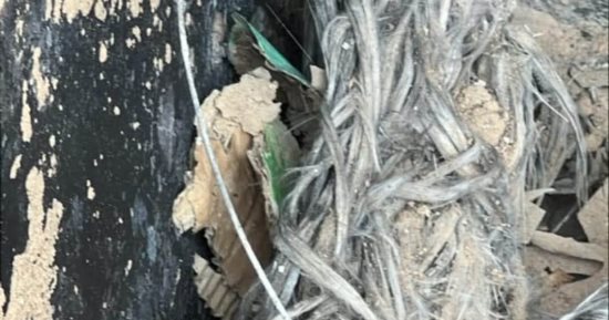 هاتف ليبيا: عمل تخريبي وحريق يتسببان في أضرار بالغرفة الرئيسية للمنطقة الغربية