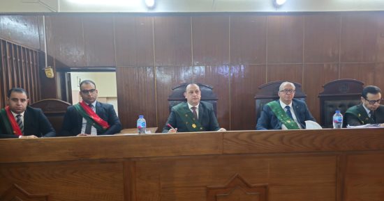المشدد 15 سنة لشقيقين متهمين بإحداث عاهة مستديمة لسيدة فى سوهاج