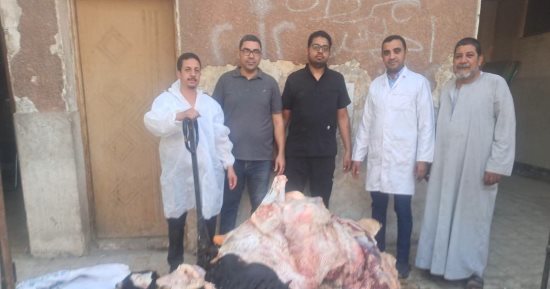 الطب البيطري بسوهاج: ضبط طن من اللحوم غير الصالحة للاستهلاك الآدمي