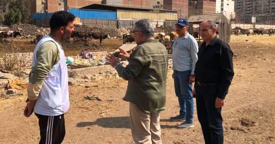 محافظ الدقهلية: مهلة 5 ساعات لإخلاء قطعة أرض بمدخل المحافظة من رؤوس المواشى
