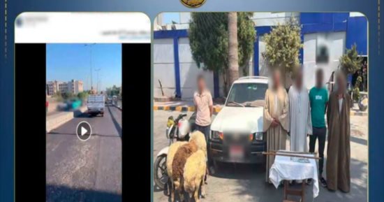 الداخلية تكشف سر مطاردة سائق لسيارة ربع نقل بسبب خرفان (فيديو)