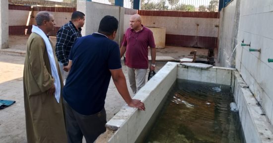 محافظ أسيوط يتابع انتظام العمل بمجزر البداري بالكوم الأحمر