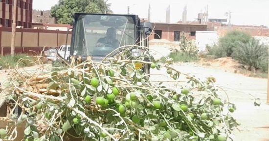 حملات مكثفة فى أسوان لرفع الإشغالات وحماية المصارف